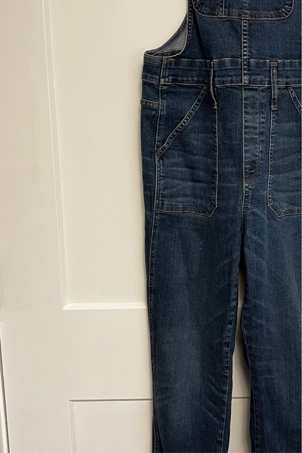 Madewell skinny best sale overalls eco edition