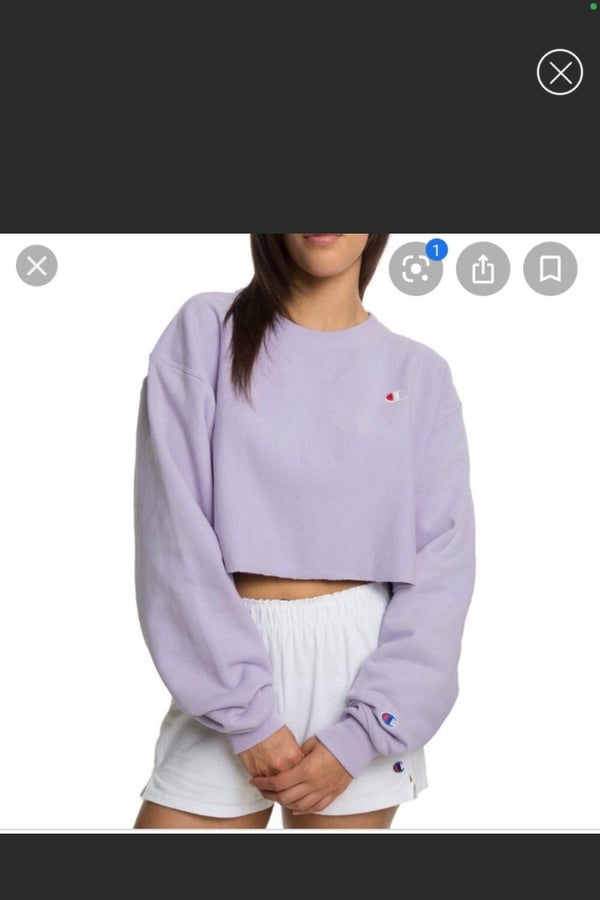 Purple champion best sale cropped sweatshirt