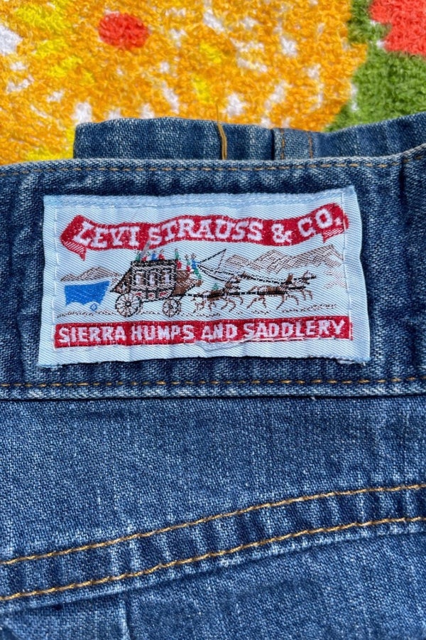 70s Vintage Levi Strauss & Co Sierra Humps and Sad | Nuuly Thrift