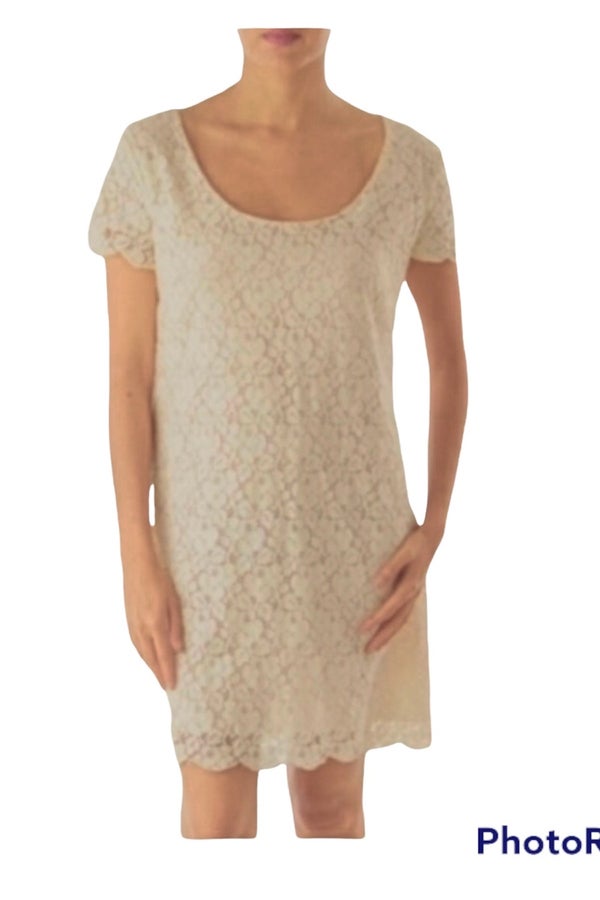 Talula: Beige Lace Mini Dress | Silkroll