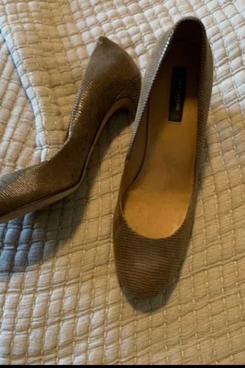 Ann taylor 2024 snakeskin heels